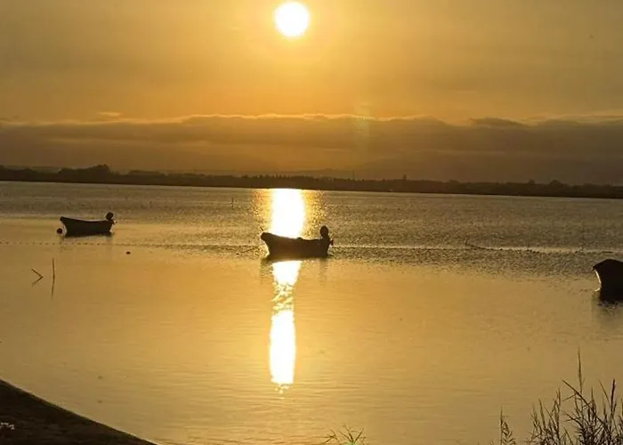 Mobile Acces Direct Mar Estang Canet-en-Roussillon